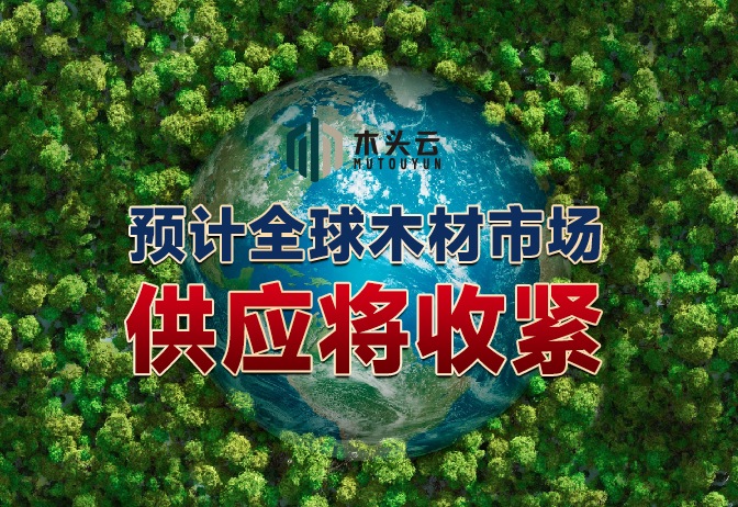 资讯图片